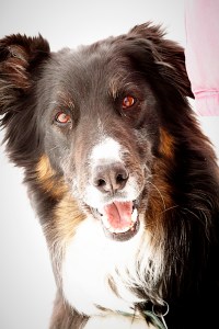 Jack; love that ear!