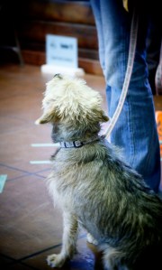 Sandy-waiting-for-Leslie's-next-command