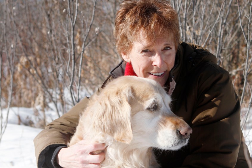 Sweet-Cuddly-Kayla-the-golden-retriever