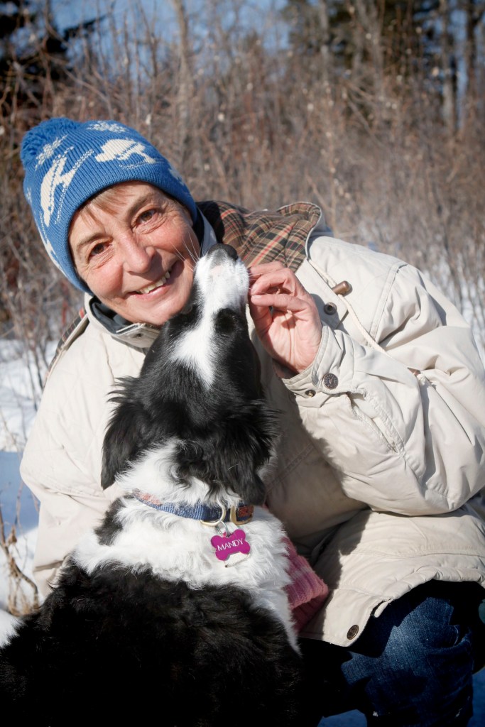 Mandy-the-Border-Collie-getting-a-treat-she-loves-her-cookies!