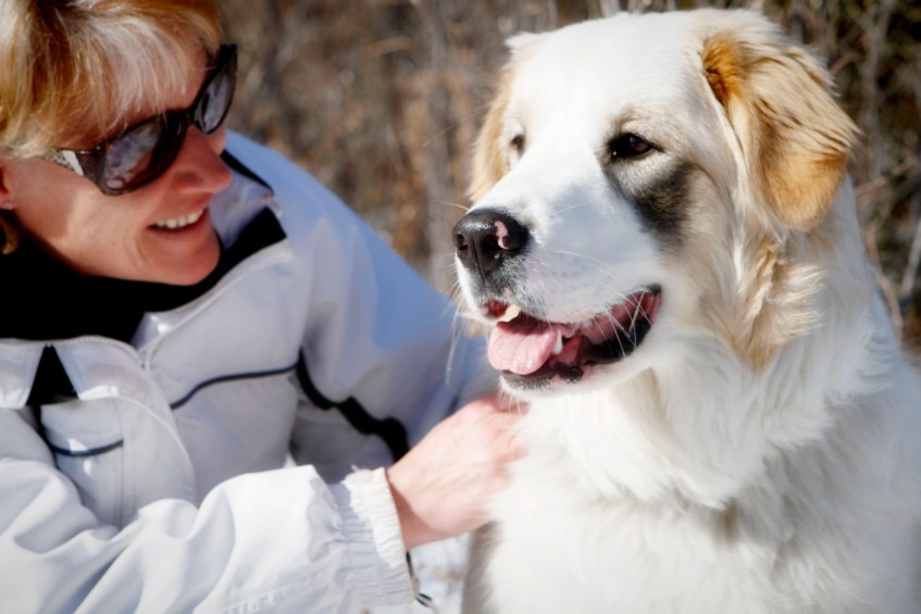 Sakara-the-Gret-Pyrenees-Border-Collie-Cross-and-her-owner-Karen