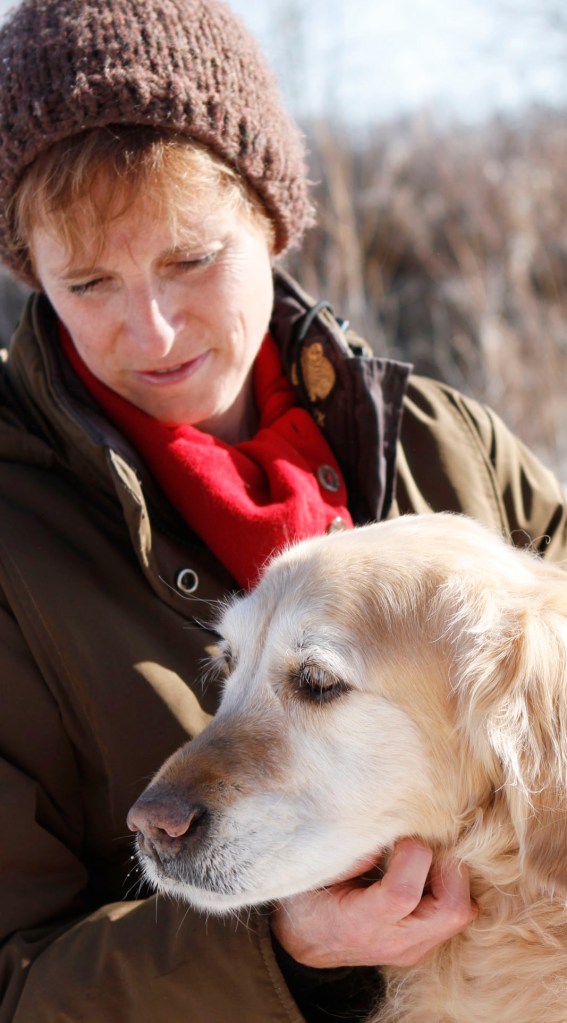 Kayla-the-golden-retriever-enjoying-cuddles-with-her-person-Shelly