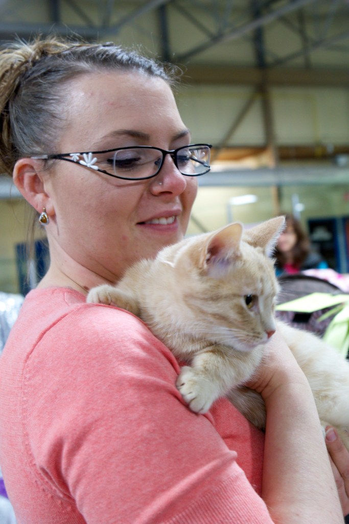 Hawn-the-Munchkin-kitty-with-Nadine