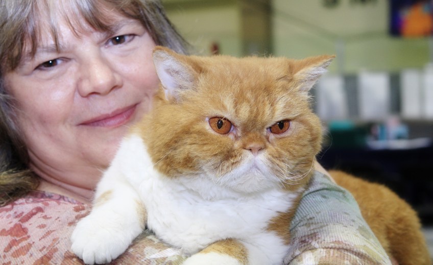 Brenda-and-iBruiser-looking-like-a-cheshire-cat