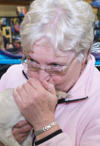 There's a kitty under there!