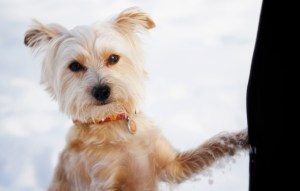 Yes, this is MY mom!