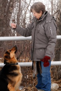 Toto waiting for a cookie.