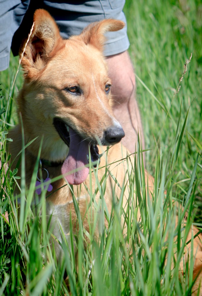 Molly-sitting-close-to-her-dad