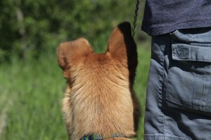 Molly-and-Mark-Joined-at-the-hip