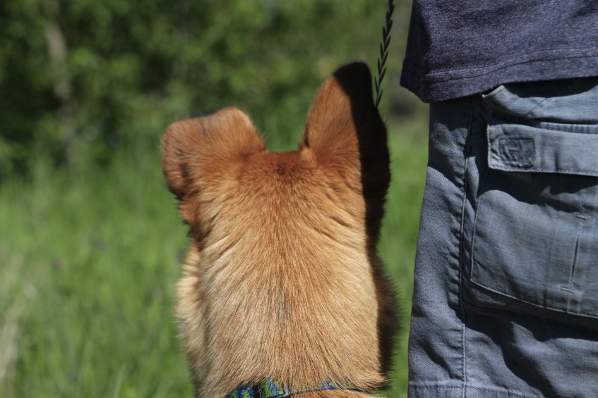 Molly-and-Mark-Joined-at-the-hip