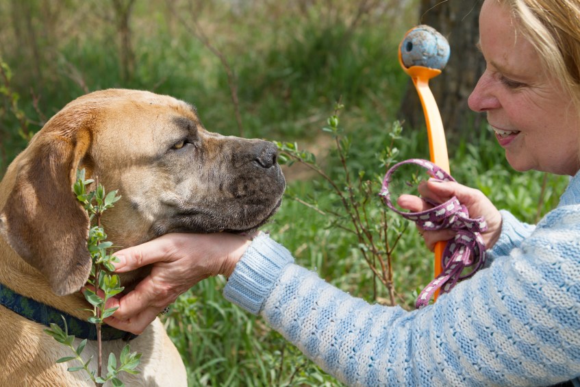 Zola-getting-a-chin-scratch-from-Priscilla