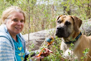 Priscilla-and-her-Boerboel-Zola