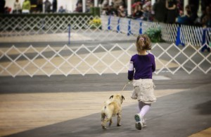 Cutest little girl with her Pug