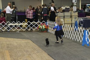 This little girl and her dog were perfectly matched!