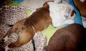 Now this is how to relax!