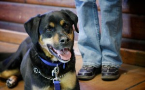 Nuet-a-good-friend-of-Sandy