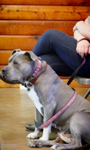 Lola-doing-her-time-in-supervised-isolation