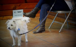Diego-in-his-3-minute-supervised-isolation-where-kathy-left-the-room