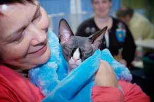 Ethel-and-her-sphynx-cat-Jaxx-cuddling-at-the-show
