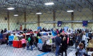 Calgary-Cat-Show-Benching-Area-at-the-shouldice-arena
