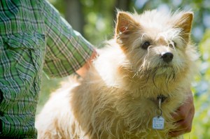 Baffin-the-dog-and-her-person-Charlie